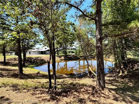 167 County Road 2605, Lamar, AR 72846 photo 8