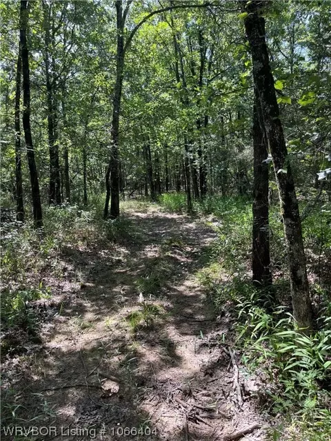 Tract A Tbd N4550 Road, Whitesboro, OK 74577