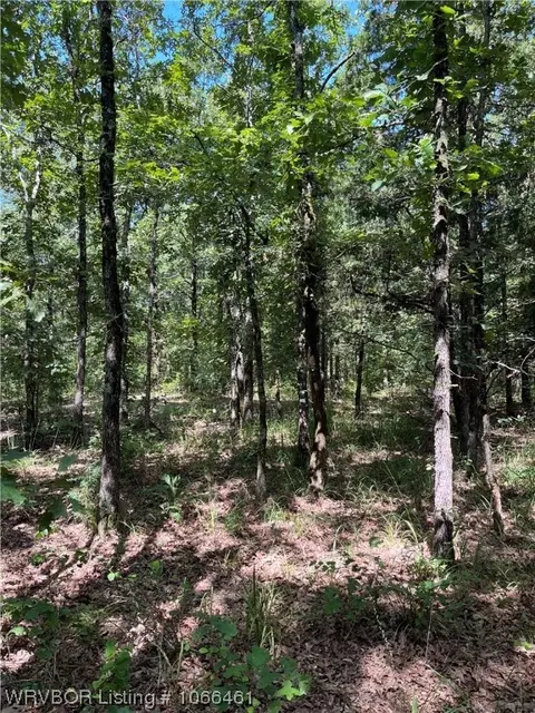 Tract B Tbd N4550 Road, Whitesboro, OK 74577