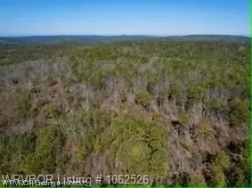 Tbd Tract 2 NE 1060th Road, Panola, OK 74559