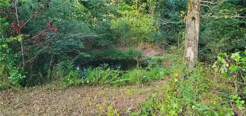 6975 W Sr 164, Dover, AR 72837 photo 7