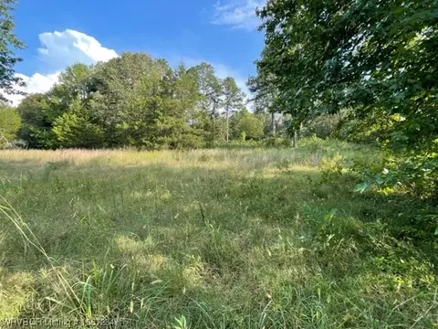 6975 W Sr 164, Dover, AR 72837 photo 21