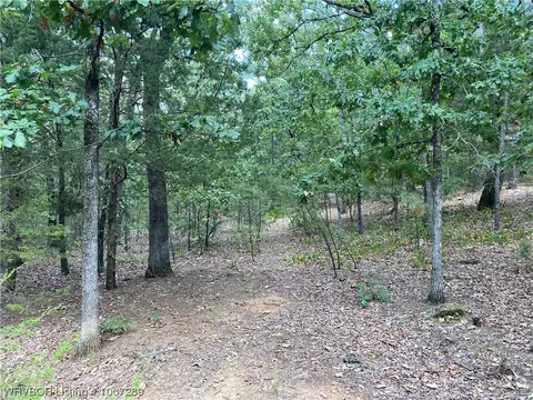Tbd 0000 Quarry Bluff Road, Blue Mountain, AR 72826