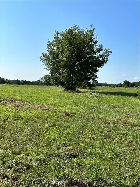 006 Old Pike Rd, Howe, OK 74940 photo 24