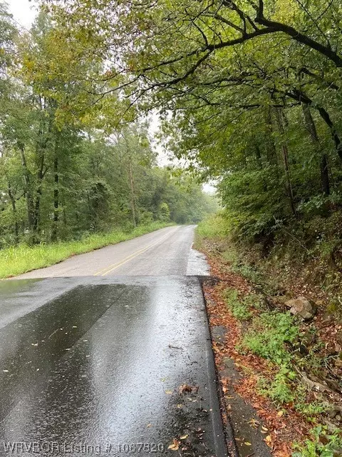 Tbd Kenner Chapel Road, Rudy, AR 72952