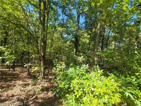 2511 Cresent, Horsehoe Bend, AR 72512