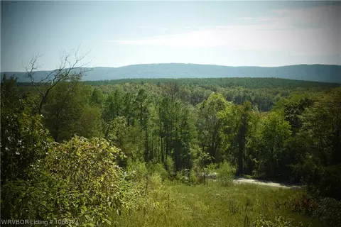 36 Acres Bethel Rd, Magazine, AR 72943
