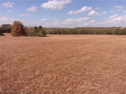 tbd Compressor Rd, Ozark, AR 72949 photo 9