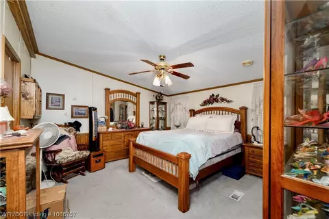 3933 Harmony Rd, Mansfield, AR 72944 photo 11
