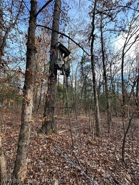 Tbd Apple Tree Road, Rudy, AR 72952 photo 3