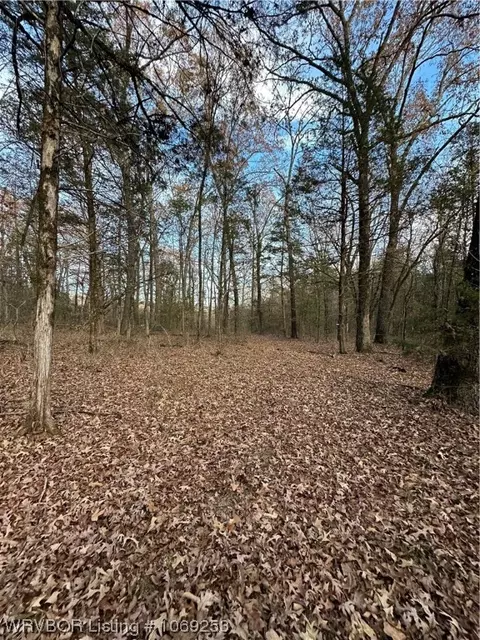 Tbd Apple Tree Road, Rudy, AR 72952 photo 6