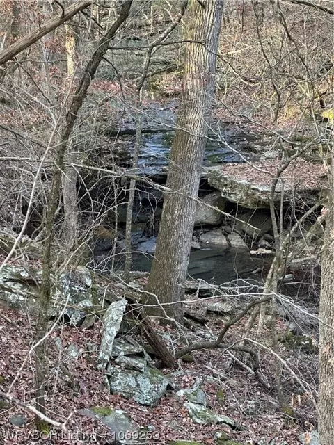 Tbd Apple Tree Road, Rudy, AR 72952 photo 5
