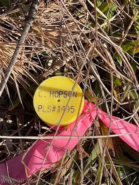 Tbd A Highway 222, Other, AR 72104 photo 16