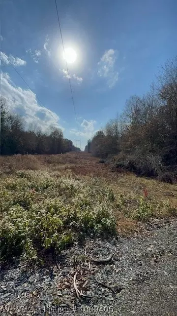 Tbd A Highway 222, Other, AR 72104 photo 13