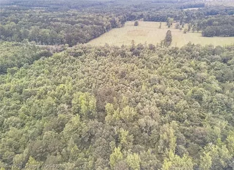 Tbd A Highway 222, Other, AR 72104 photo 29
