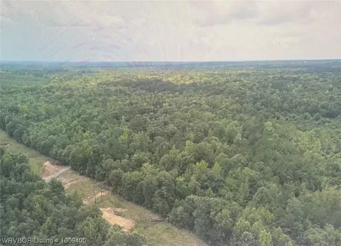 Tbd A Highway 222, Other, AR 72104 photo 24