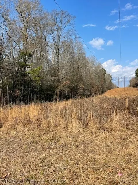 Tbd A Highway 222, Other, AR 72104 photo 20