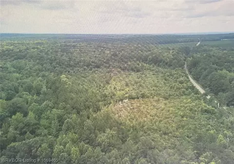 Tbd A Highway 222, Other, AR 72104 photo 28