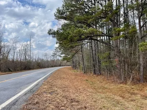 Tbd A Highway 222, Other, AR 72104 photo 3