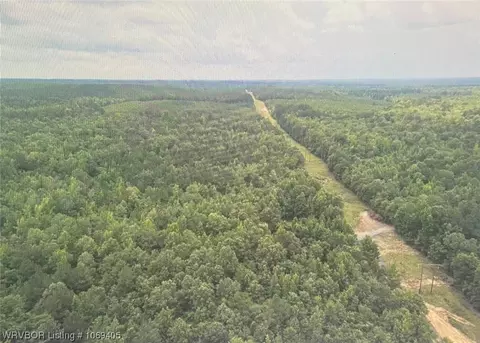 Tbd A Highway 222, Other, AR 72104 photo 27