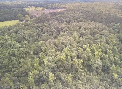 Tbd A Highway 222, Other, AR 72104 photo 30