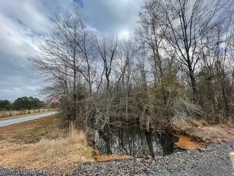 Tbd A Highway 222, Other, AR 72104 photo 12