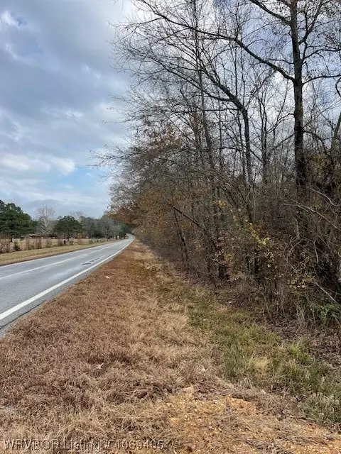 Tbd A Highway 222, Other, AR 72104 photo 4