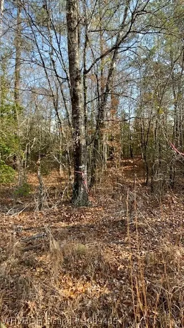 Tbd A Highway 222, Other, AR 72104 photo 15