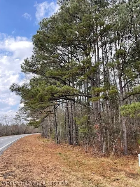 Tbd A Highway 222, Other, AR 72104 photo 5