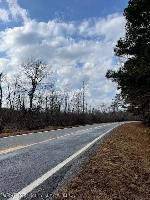 Tbd A Highway 222, Other, AR 72104 photo 6
