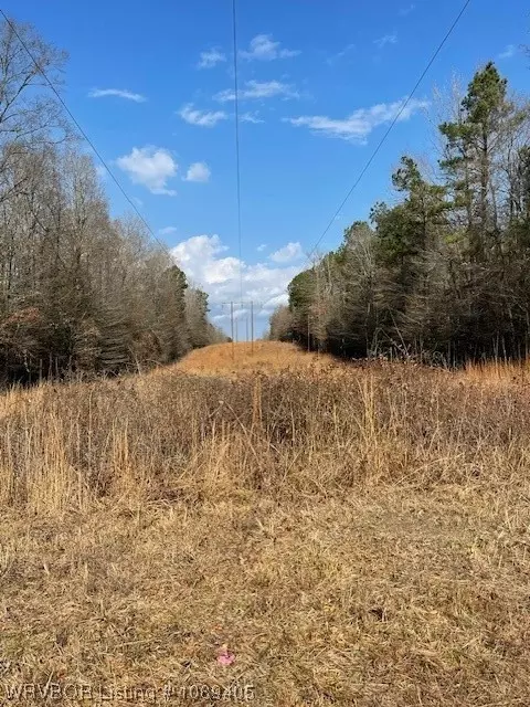 Tbd A Highway 222, Other, AR 72104 photo 19