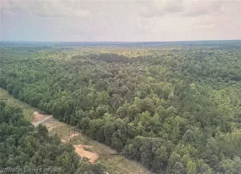 Tbd A Highway 222, Other, AR 72104 photo 23