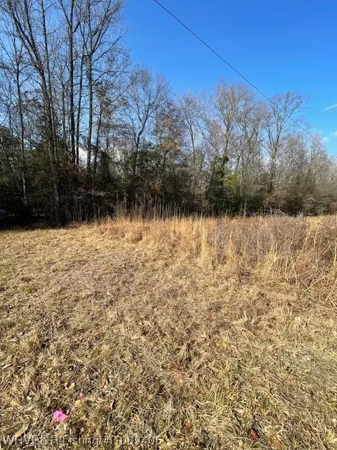Tbd A Highway 222, Other, AR 72104 photo 18