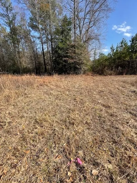 Tbd A Highway 222, Other, AR 72104 photo 17