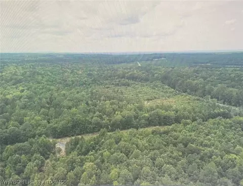 Tbd A Highway 222, Other, AR 72104 photo 31