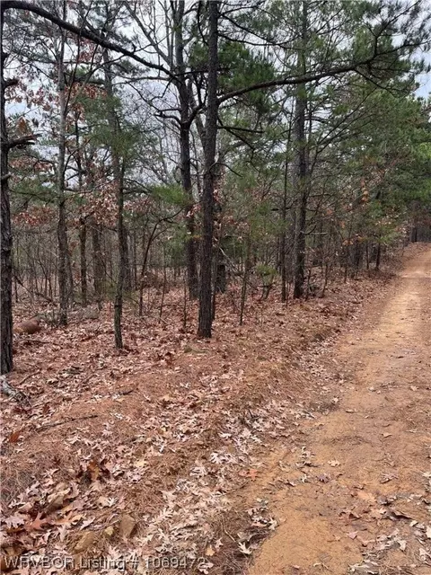 Tbd Rural Latimer Co., Panola, OK 74559