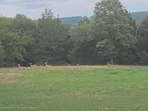 Hwy 71, Mountainburg, AR 72921