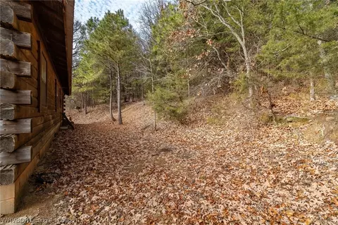 View/Area - 2902 Moore Ln, Ozark, AR 72949 photo 8 of 8