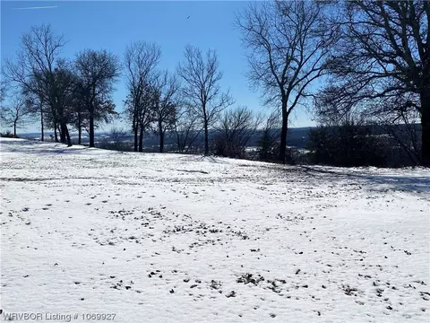 3227 Eagle Heights Dr, Ozark, AR 72949 photo 19