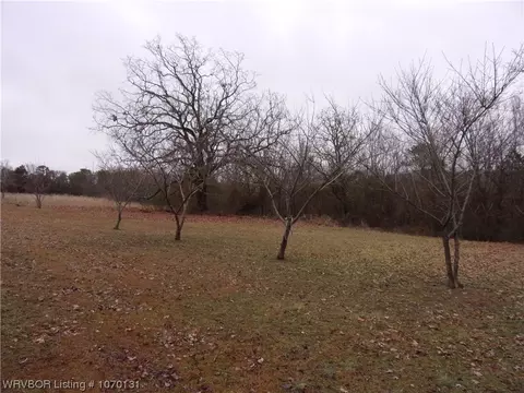 View/Area - 3927 Adams Rd, Ozark, AR 72949 photo 4 of 6