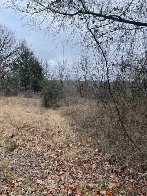 Tbd Carrie Drive, Spiro, OK 74959