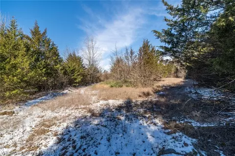 Tbd Chastain Road, Mulberry, AR 72947