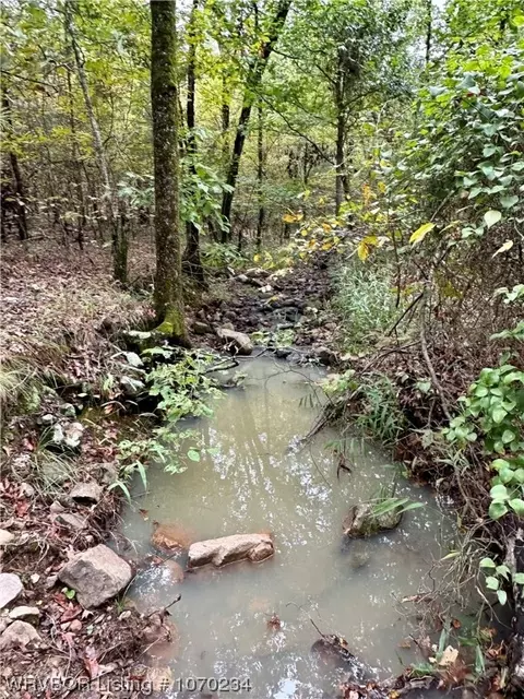 0000 Mineral Springs Rd, Hodgen, OK 74939