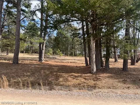 526 Bayview Dr, New Blaine, AR 72855