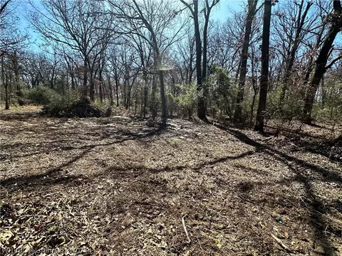 View/Area - 132 Scott Dr, Alma, AR 72921 photo 1 of 2