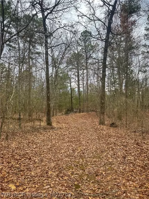 30001 Muse Rd, Muse, OK 74949 photo 9