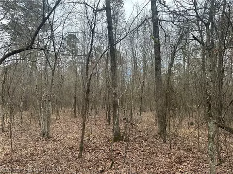 30001 Muse Rd, Muse, OK 74949 photo 5