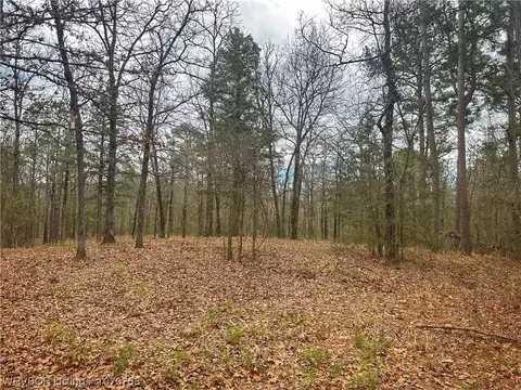 30001 Muse Rd, Muse, OK 74949 photo 10