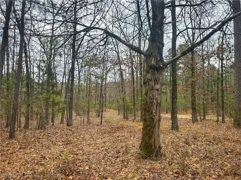 30001 Muse Rd, Muse, OK 74949 photo 7