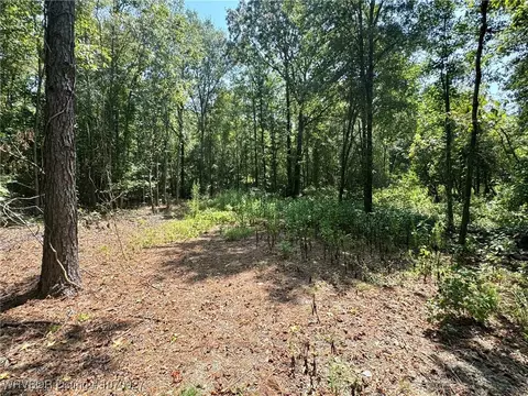 1 Hwy 222, Other, AR 72104